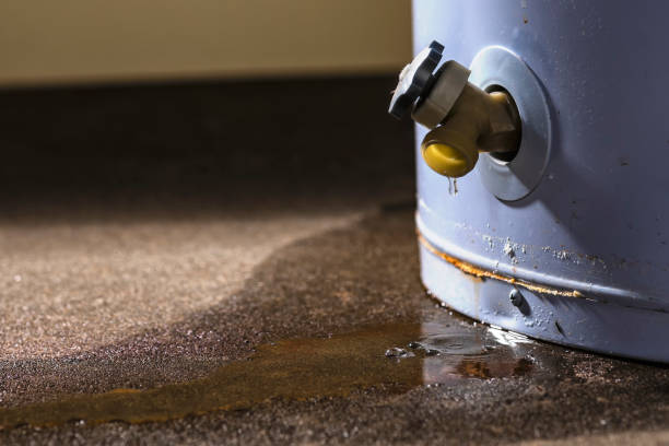 Best Water damage restoration near me  in Pooler, GA