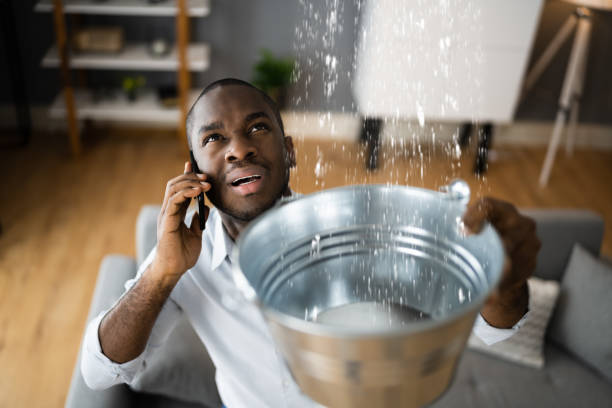 Best Professional water damage repair  in Pooler, GA