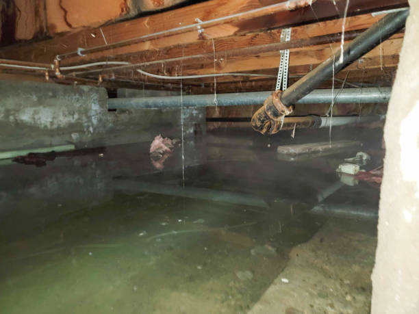 Best 24/7 water damage repair  in Pooler, GA