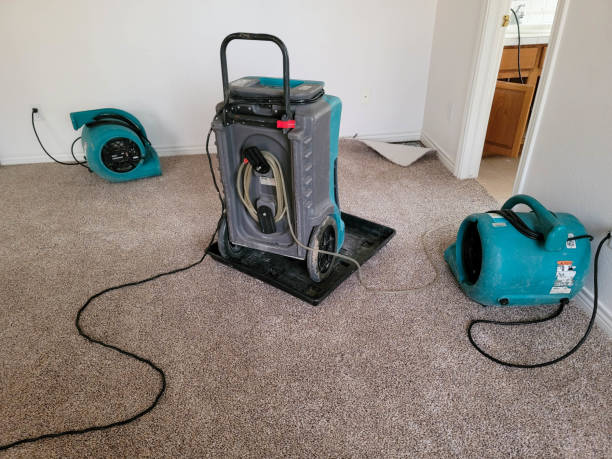 Best Water damage contractors near me  in Pooler, GA