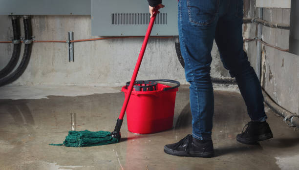 Best Flood damage cleanup  in Pooler, GA