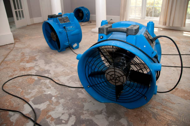Best Basement water damage restoration  in Pooler, GA