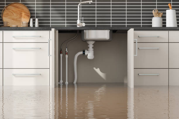 Best Basement water damage restoration  in Pooler, GA