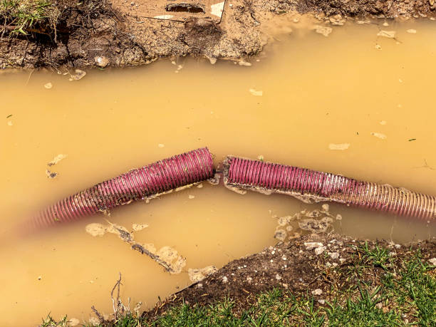 Pooler, GA Water damage restoration Pros